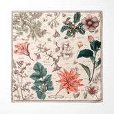 BOTANIKA SILK ASCOT - PREMIUM COLLECTION