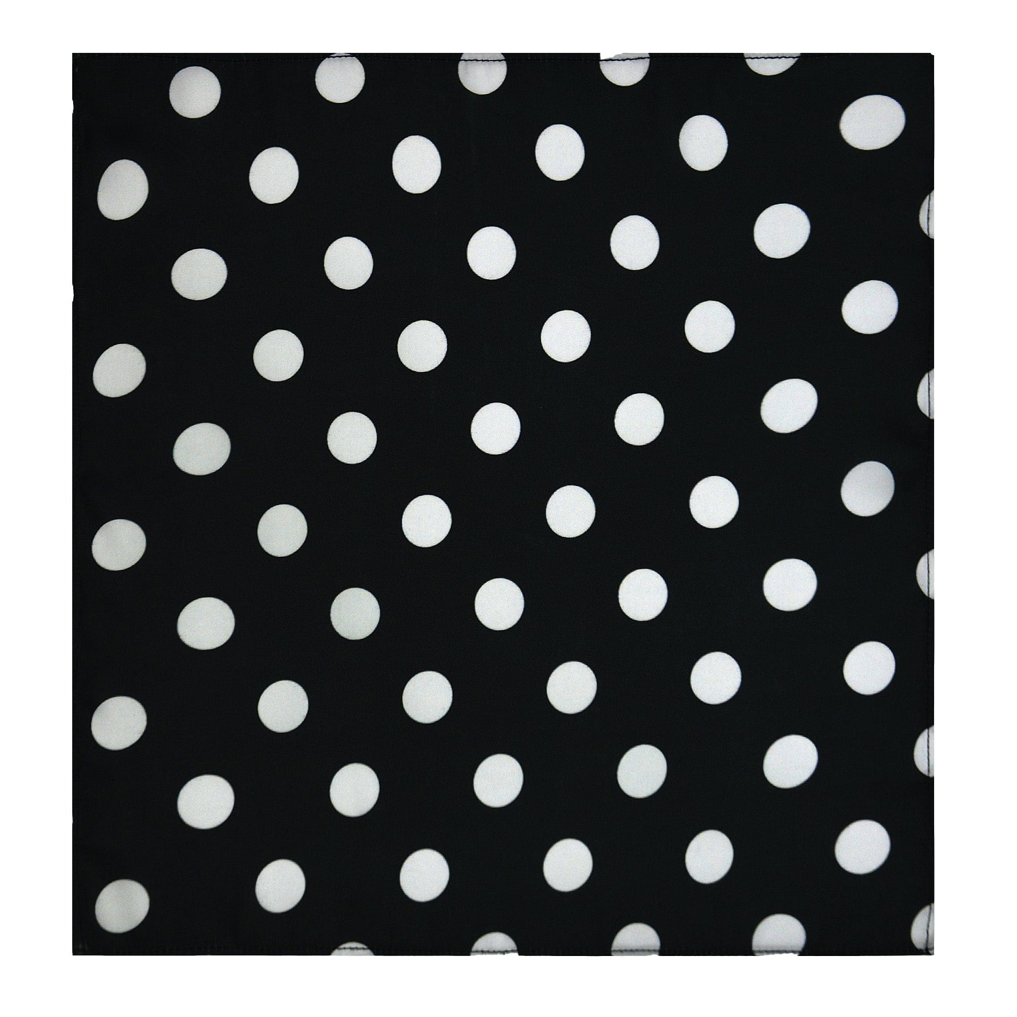 BLACK MEDIUM POLKA DOTS SILK ASCOT – PREMIUM COLLECTION